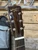 Recording King RP-G6-CFE5 Cutaway Parlor Acoustic Electric Guitar w/ Gig Bag