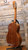 Giannini Trovador AWNT6 Vintage Brazilian Classical Guitar