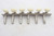 Harmony H-804 Vintage 6-in-line Guitar Tuners w/ Ferrules & Screws