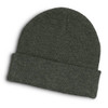 A green beanie with a folded cuff, featuring a textured knit design. It has a casual, stylish appearance.