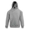 A grey hooded sweatshirt with a kangaroo pocket and a logo. It features a classic design suitable for kids.
