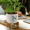 A white planter with a bamboo stand, featuring a logo, holds lush green plants on a wooden table.