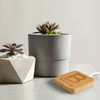 A bamboo wireless charger featuring a wood grain design, placed next to potted succulent plants.