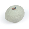 A white brain-shaped stress ball with a logo on the surface, designed for stress relief and fun.