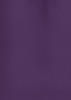 A plain short sleeve women's shirt in a rich purple colour, featuring a minimalistic design and a logo.