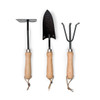 Three garden tools with wooden handles: a hand trowel, a cultivator, and a rake, featuring black metal heads.