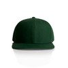 A green cap with a flat brim and a logo on the front. The cap has a structured design.