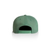 A green cap with a structured design and adjustable strap at the back. It features a logo.