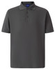 A grey men's polo shirt with short sleeves, featuring a three-button placket and a subtle logo.