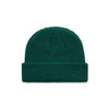 A green knitted beanie with a folded cuff and textured detailing. It features a small logo.