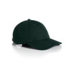 A dark green cap with a curved brim and an adjustable strap, featuring a logo on the side.