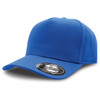 A blue cap with a curved brim and a logo on the side.