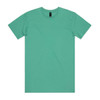 A plain mint green t-shirt featuring a tag and no visible graphics or designs.