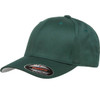 A green cap with a curved brim and a logo on the front, featuring a structured fit and closed back.