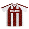 A red and white V-neck t-shirt featuring a striped design and a logo. It has short sleeves and a modern look.