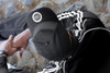 INIVI SEAMLESS BACK PANEL PREMIUM POLYCOTTON - SNAPBACK