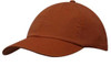 A cap in a rust brown colour with a curved peak and an adjustable strap at the back. It features a logo.