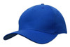 A blue cotton twill cap with a curved brim and an adjustable strap at the back. It features a logo on the front.