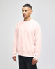 A grey Champion Reverse Weave® adult crew sweatshirt is displayed on a model in a neutral setting.