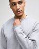 A grey crewneck sweatshirt on a model, featuring a logo on the sleeve. The fabric appears soft and comfortable.