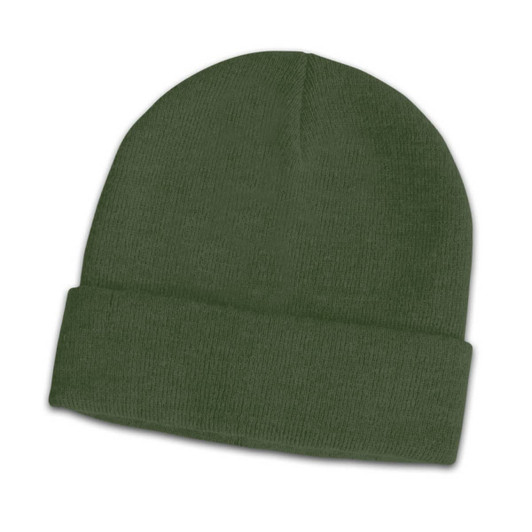 A green beanie with a folded cuff, featuring a subtle logo on the side.