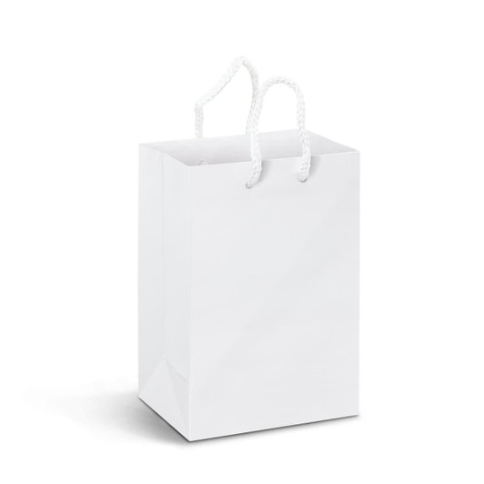 A small white laminated paper carry bag with white rope handles and a plain design.