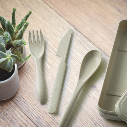 A set of eco-friendly cutlery in light green, including a fork, knife, and spoon, alongside a storage case and a small plant.