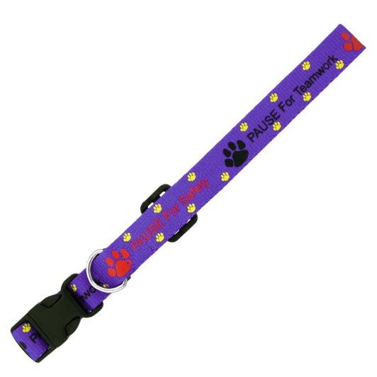 A purple dog collar featuring paw print designs and text. It has a buckle and a metal ring for attachment.
