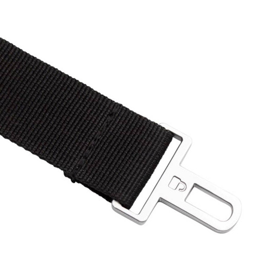 A black strap made of webbing material featuring a silver metal buckle. It includes a brand logo.