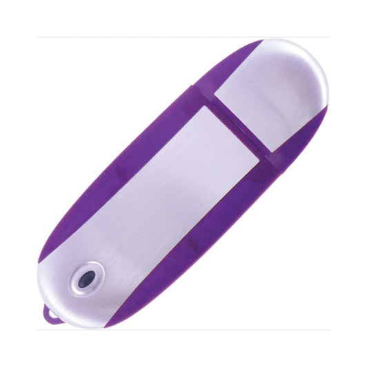 A purple and silver oval flash drive featuring a logo.