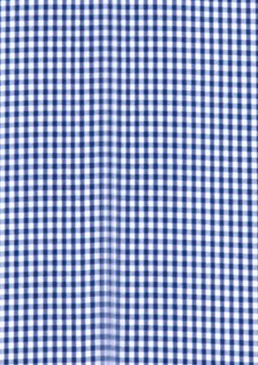 A blue and white checkered fabric pattern, featuring small squares, suitable for a button-up shirt design.