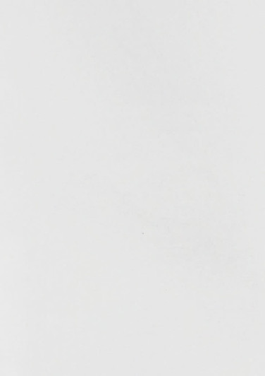 A long sleeve button-up shirt in a solid colour with a branding logo.