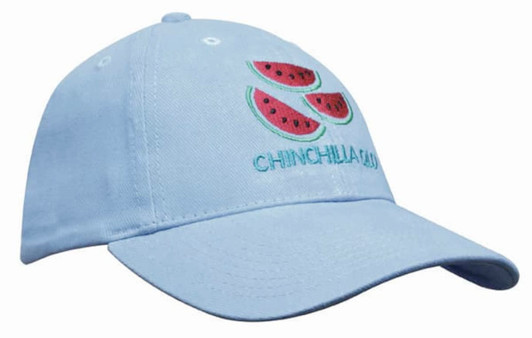 A light blue youth cap featuring embroidered watermelon graphics and a logo. Made from brushed heavy cotton.