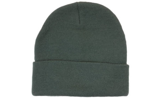 A green acrylic beanie with a fold-up cuff and a seamless crown. It features a branding logo.