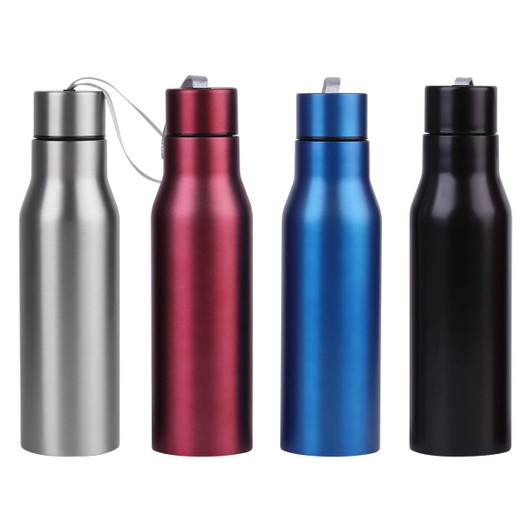 A drink bottle collection featuring silver, red, blue, and black metal bottles, each with a cap and a logo.