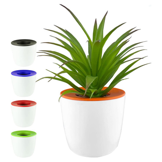 A white mini desk plant pot with a vibrant orange top, featuring a green plant. Includes additional pots in black, blue, and green.