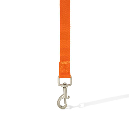 An orange dog lead with a silver metal clip, featuring a durable nylon strap.