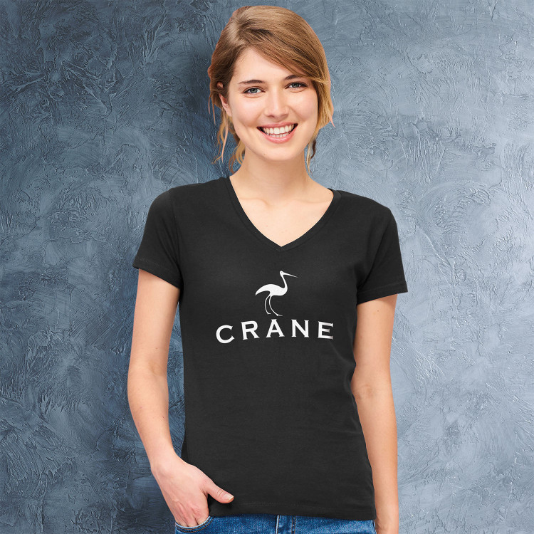 Quisque convallis quis erat