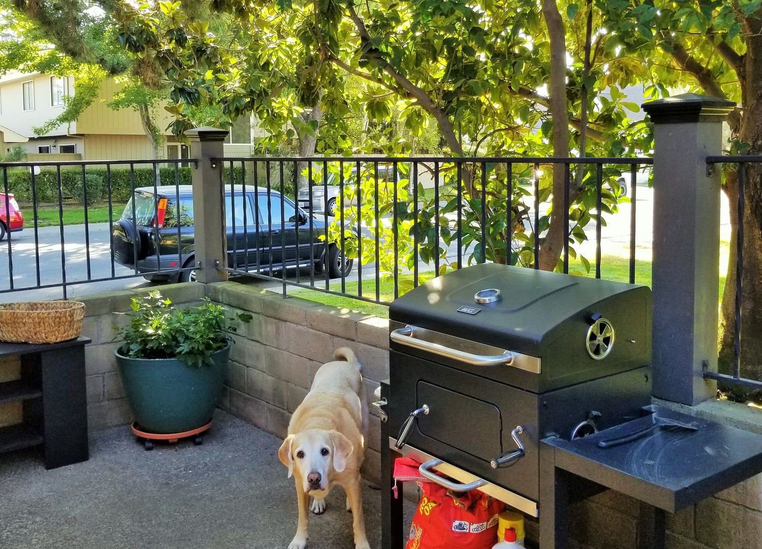 How to Design an Outdoor Kitchen: Your Perfect External Eatery