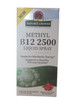 Methyl B-12 2500, Liquid Spray, 1 fl oz - Metil B-12 2500, Espray Liquido, 30ml