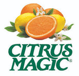 Citrus Magic
