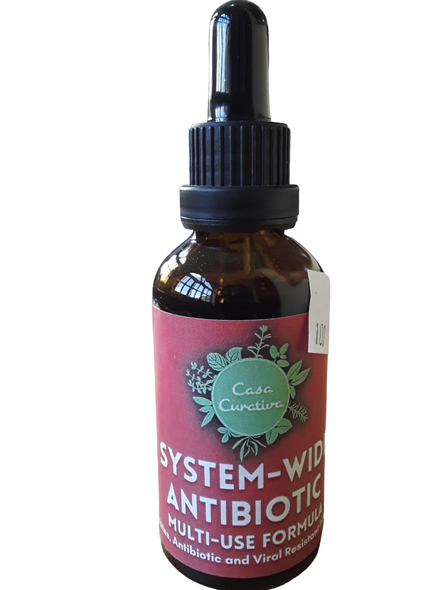 System-Wide Antibiotic -Antibiótico para todo el sistema