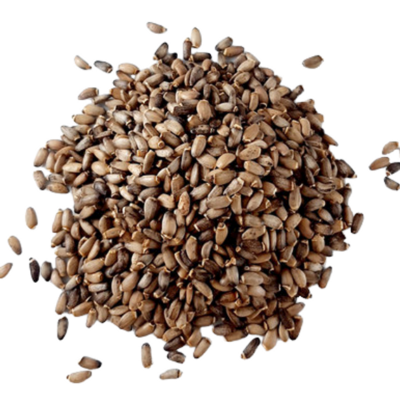 Milk Thistle Seed, Whole - Semillas de Cardo Mariano, Enteras