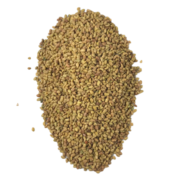 Sprouting Seed, Alfalfa, Organic - Semillas Germinadas, Alfalfa, Organico