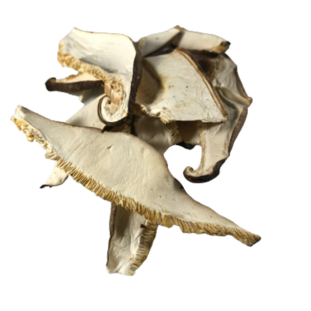 Mushrooms, Shiitake, Sliced & Dried - Hongos Shiitake,  Secos Rebanados