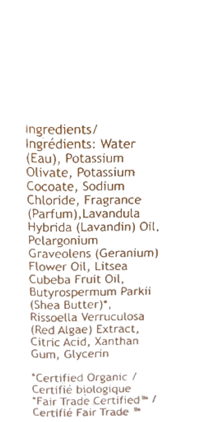 Hand Soap, Shea Butter, 8 fl oz. - Jabón de Manos, Manteca de Karité, 8 fl oz.