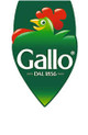 Gallo