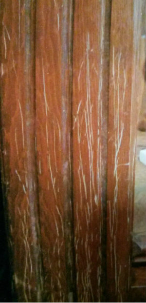 scratched-wood-before-kitchen-cabinet-cleaner.jpg