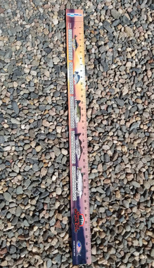 GOICEFISH.COM Fish Ruler - GoIceFish