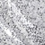 Rain Drop Sequin Taffeta Fabric - Silver